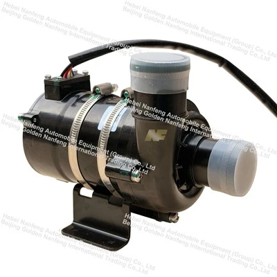 Automotive Electronic Water Pump best
